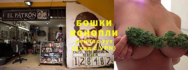 молекула духа Бронницы