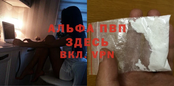 PSILOCYBIN Валуйки