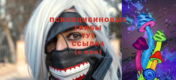 молекула духа Бронницы